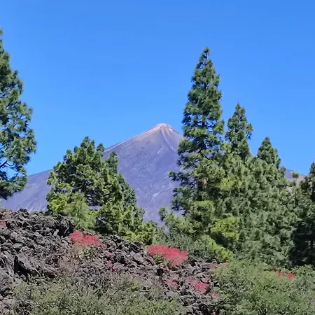 Un Nid Au Soleil Сasa de vacaciones